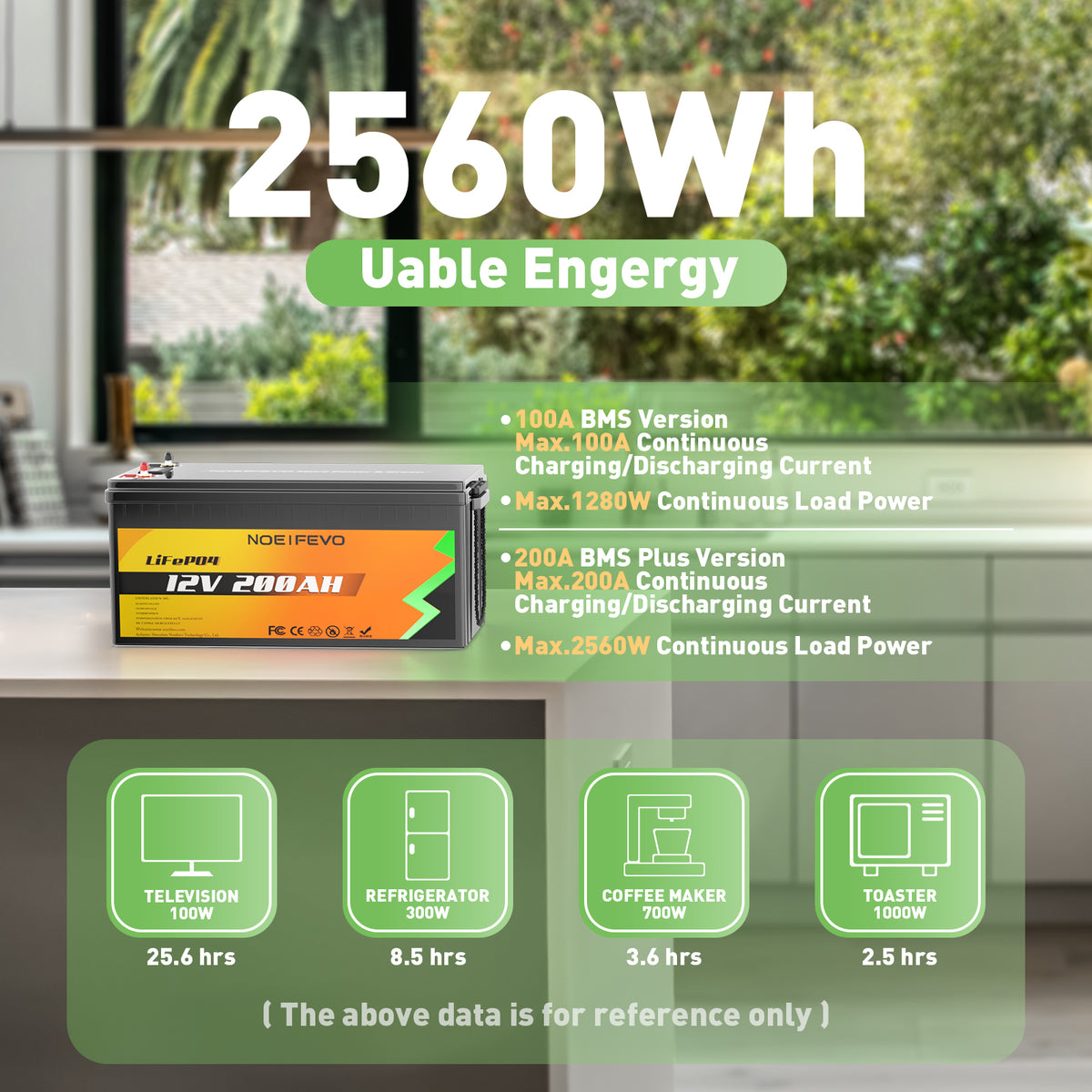 NOEIFEVO N200 12V 200AH Plus Litio Hierro Fosfato Batería LiFePO4 Con –  Smart LifePO4 Batterie & Heimspeicherung von Energie & Intelligentes  Ladegerät