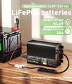 Noeifevo 12V 12,8V 30A LiFePO4 litio al batterie per Caricabatterie  , tensione di carica 14,6V, attivazione BMS 0V, spegnimento automatico, alloggiamento in alluminio