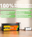 NOEIFEVO 29,2 V 10A LiFePO4 impermeabile Caricabatteria  per  LiFePO4 25,6 V (24 V) 8S batteria